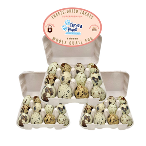 FP Freeze-Dried Quail Egg (12 eggs/punnet) x 3 (bulk buy 36 eggs)